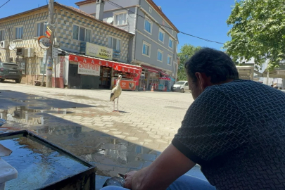 Bursa'da ezber bozan 10 yıllık dostluk!