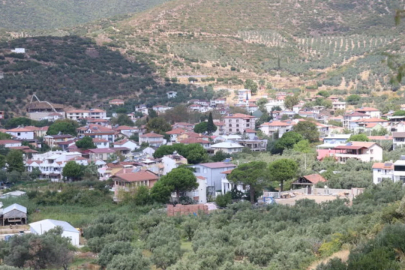 Yalova'nın Bursa sınırındaki son köyünde gelecek sezonun hazırlıkları sürüyor