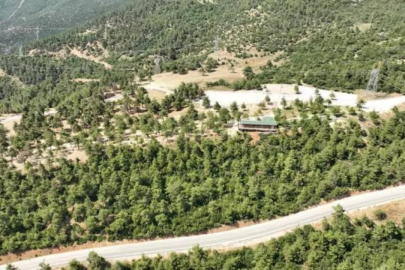Hafta sonu planı yapanlar dikkat! Kule Orman Park açılıyor