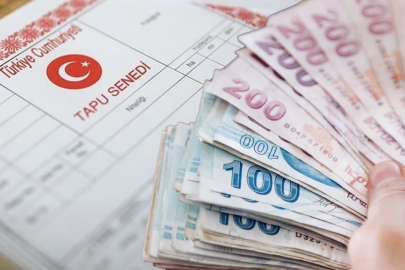Bursa'da milyonluk araziler satışa çıkıyor!