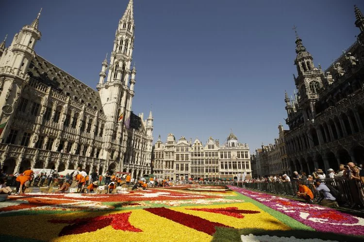 Belçika'nın geleneksel 'çiçek halısı' 4 yıl sonra yeniden döşendi