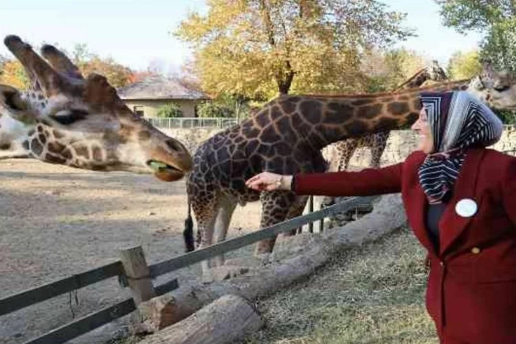 Bursa Hayvanat Bahçesi 24 yaşında