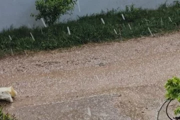 Bandırma'da şiddetli rüzgar ve dolu yağışı etkili oldu
