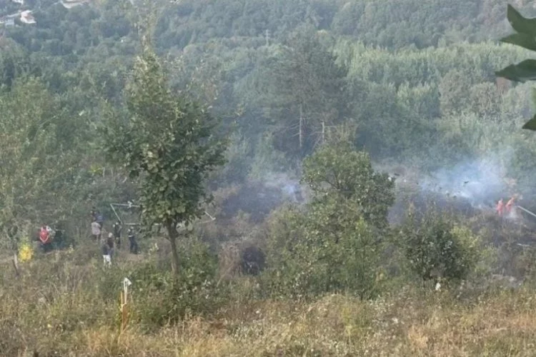 Bursa'da bahçesindeki çalıları ateşe veren şahıs dumandan zehirlenerek hayatını kaybetti