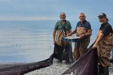 Bursa'da gümüş balığının ihracat serüveni başladı
