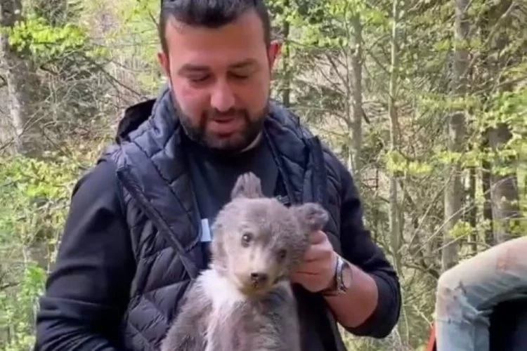 Bursa'da ormandan inen yavru ayı mahallenin maskotu oldu