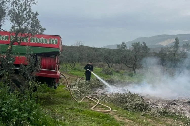Bursa'da zeytin tarlasında çıkan yangın panik yarattı