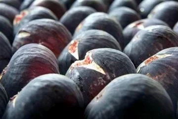 Bursa siyah incirinin Japonya'daki marketlerde satılması hedefleniyor