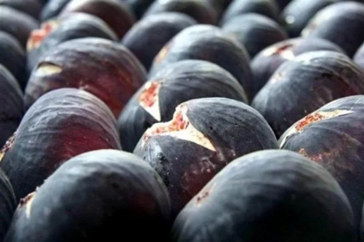 Bursa siyah incirinin Japonya'daki marketlerde satılması hedefleniyor