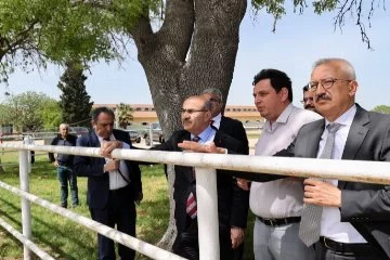 Bursa Valisi Demirtaş, Karacabey Tarım İşletmesini ziyaret etti