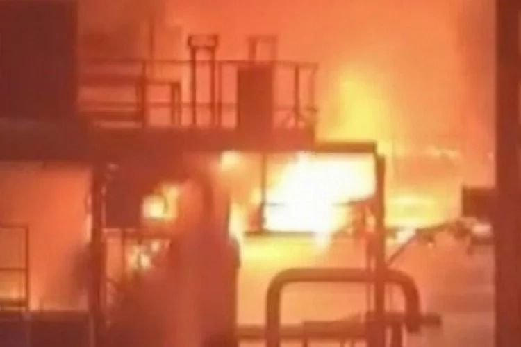 Bursa Yenişehir'de büyük fabrika yangını!