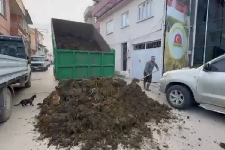 CHP Bursa Yenişehir Belediye Başkan Adayı Sadi Aktaş'a hayvan dışkılı protesto!