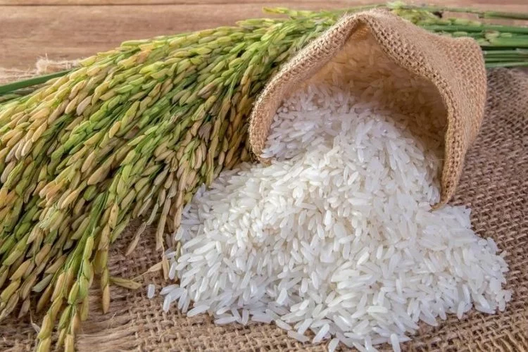 Erdoğan: Pirinç krizi yaşanabilir