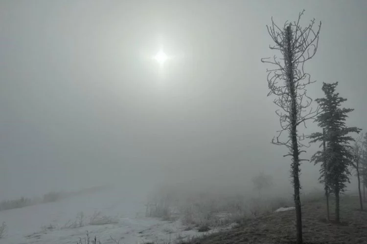 Erzurum'da yoğun sis!