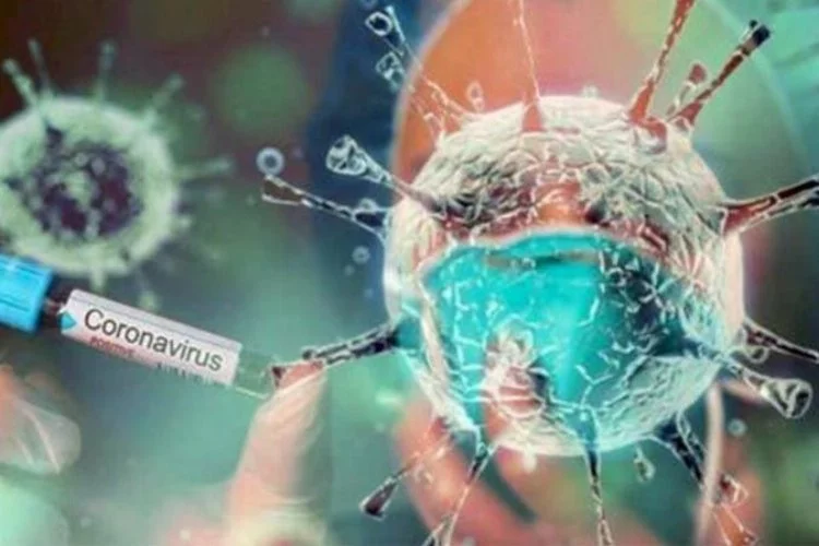 Haftalık koronavirüs vaka tablosu açıklandı!
