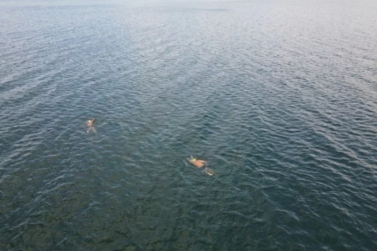 Kasım ayının ortasında şortlarını giyen yüzücüler, İznik Gölü'nde yüzdü