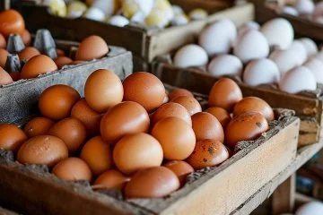 Kuş gribinin yeniden ortaya çıkması yumurta fiyatlarını artırdı