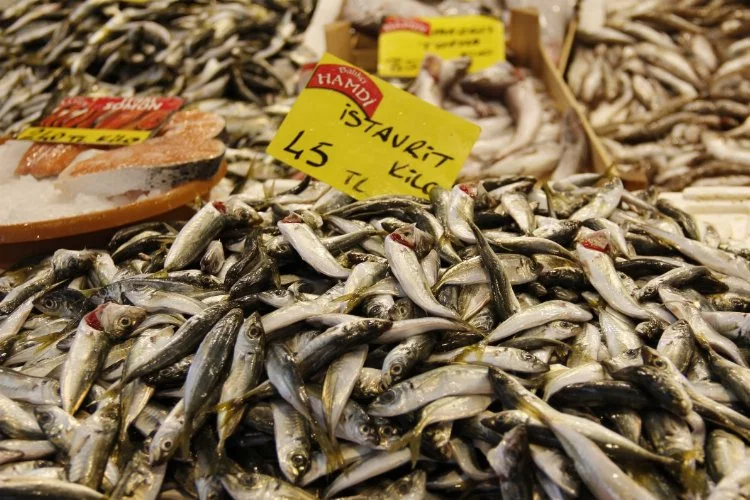 Balık fiyatları düşmeye başladı!