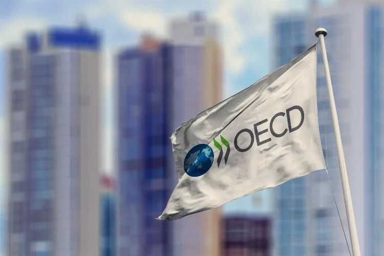 OECD aralık ayı enflasyonunu açıkladı