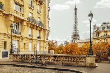 Paris'te tahtakuruları alarmı