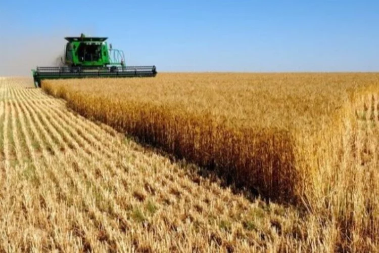 Rusya, Tahıl Koridoru Anlaşması'nın uzatılmasını onayladı