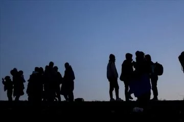 Uluslararası Göç Örgütü: En fazla mültecinin yaşadığı ülke Türkiye