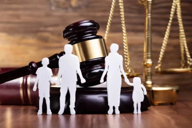 Yargıda dikkat çekici düzenleme: Her aileye bir avukat!