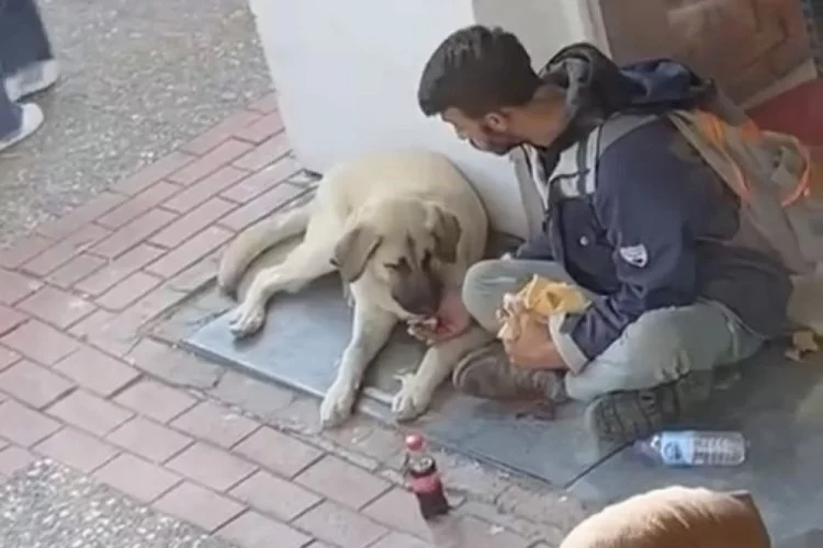 Yemeğini sokak köpeği ile paylaşan çocuk sosyal medyada ses getirdi